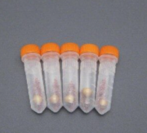 lysing matrix a tuberp